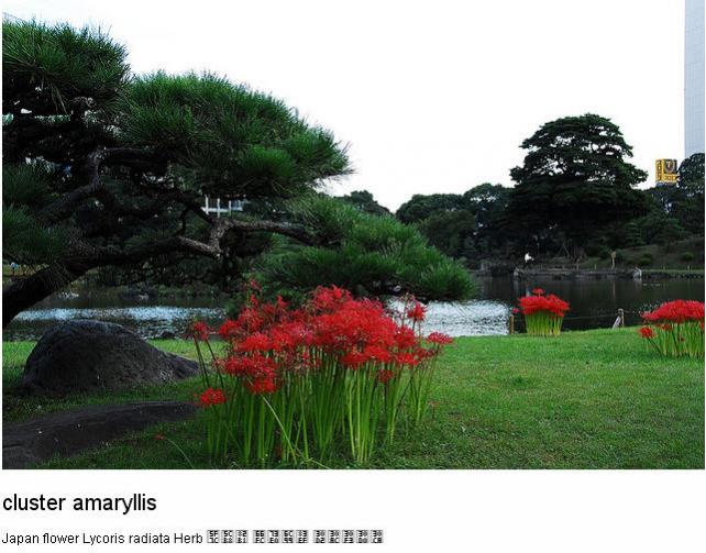 Name:  SNAG-0577.jpg
Views: 1071
Size:  56.6 KB