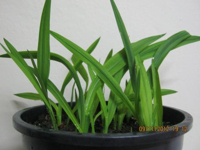 Name:  002.jpg
Views: 1360
Size:  32.8 KB