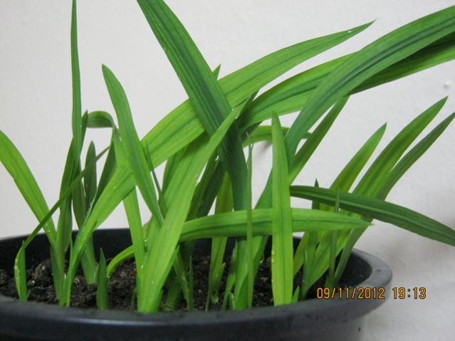 Name:  003.jpg
Views: 1284
Size:  39.3 KB