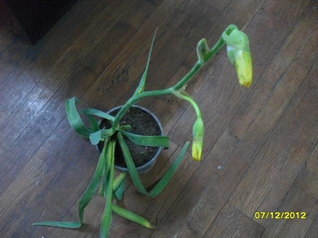 Name:  002.jpg
Views: 1617
Size:  39.9 KB