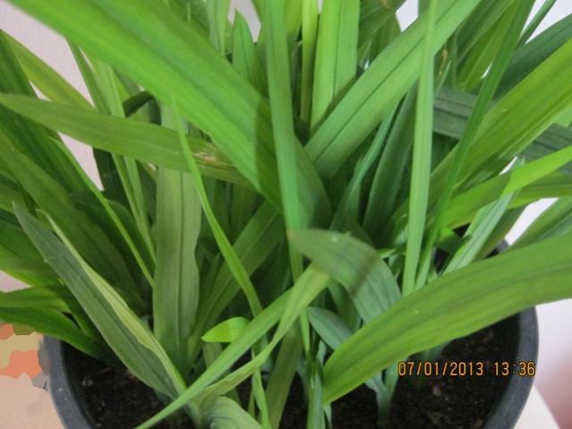 Name:  002.jpg
Views: 1088
Size:  39.4 KB