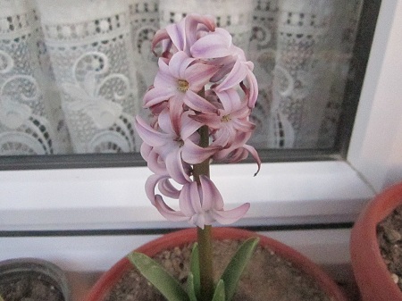 Name:  073.JPG
Views: 994
Size:  69.9 KB