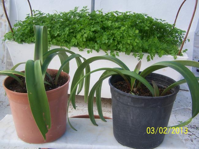 Name:  037.jpg
Views: 1110
Size:  54.8 KB