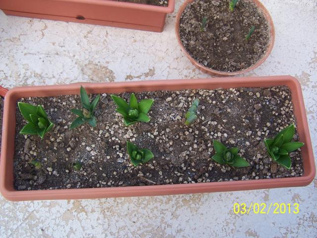 Name:  038.jpg
Views: 746
Size:  70.5 KB
