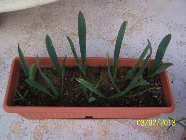 Name:  034.jpg
Views: 728
Size:  51.9 KB