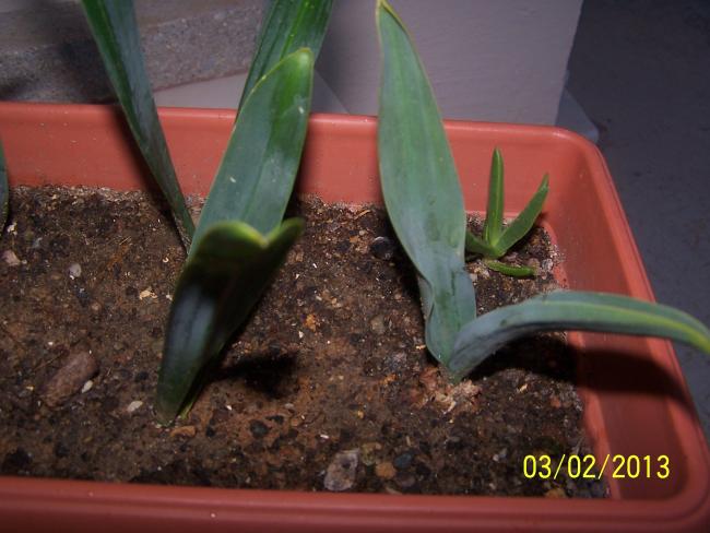 Name:  048.jpg
Views: 728
Size:  42.7 KB