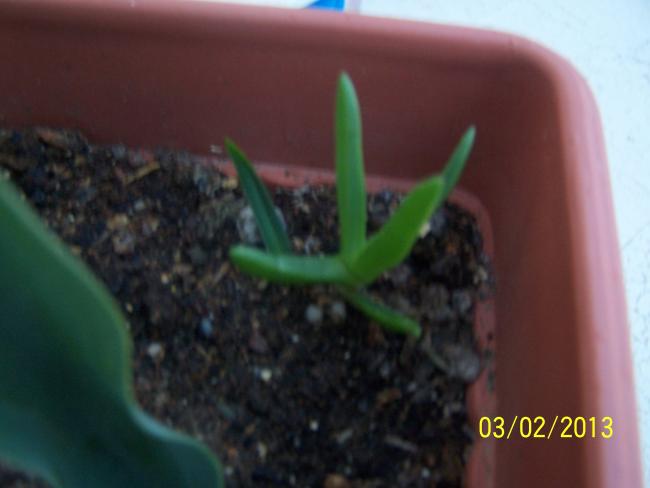 Name:  046.jpg
Views: 764
Size:  25.2 KB