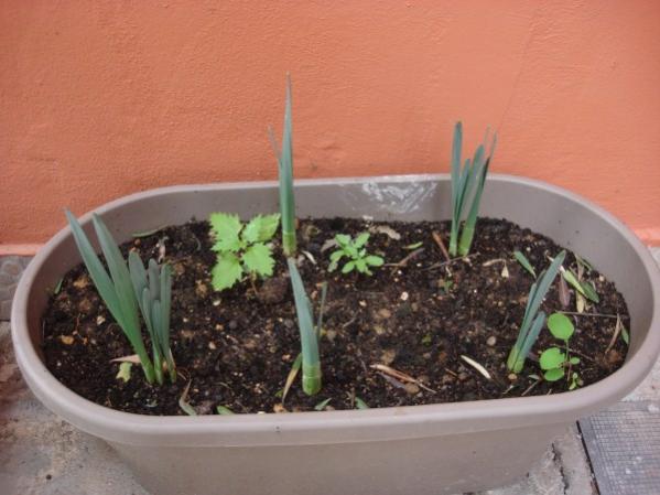 Name:  containers (2).jpg
Views: 753
Size:  38.7 KB