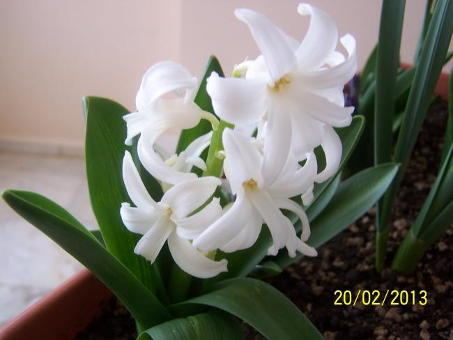 Name:  023.jpg
Views: 1010
Size:  33.3 KB
