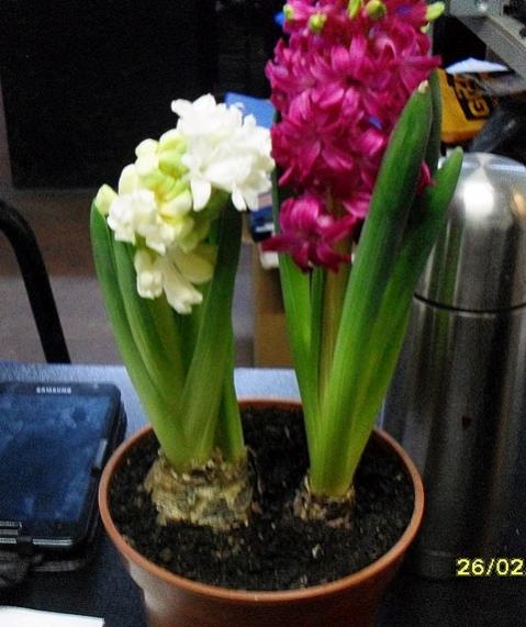 Name:  006.jpg
Views: 1120
Size:  42.5 KB