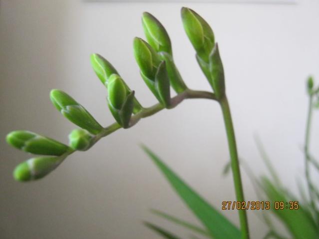 Name:  002.jpg
Views: 1162
Size:  21.6 KB
