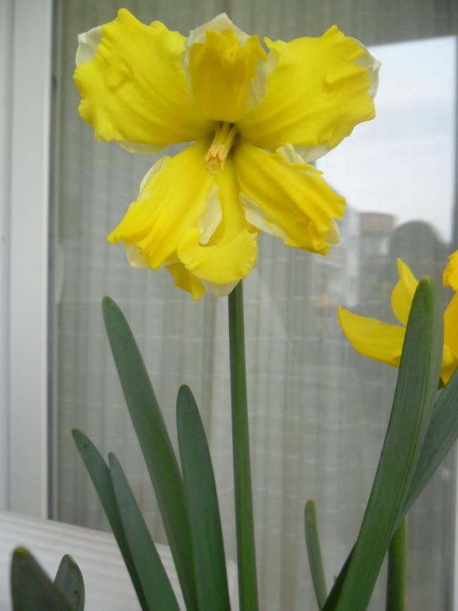 Name:  SAM_2659.jpg
Views: 736
Size:  40.8 KB