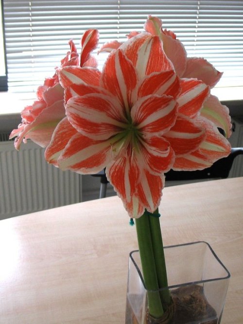 Name:  1.jpg
Views: 10123
Size:  62.1 KB