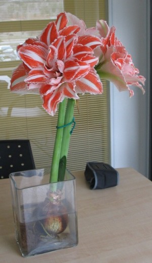 Name:  2.jpg
Views: 8426
Size:  42.4 KB