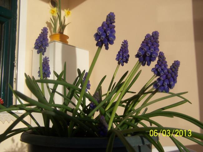 Name:  010.jpg
Views: 1382
Size:  45.5 KB