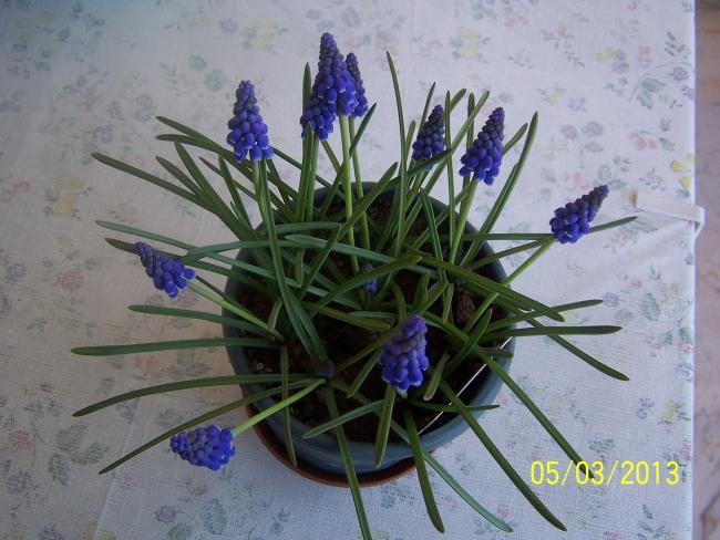 Name:  002.jpg
Views: 1364
Size:  51.4 KB