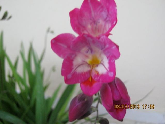 Name:  020.jpg
Views: 1045
Size:  24.0 KB