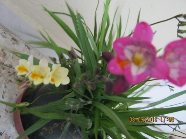 Name:  022.jpg
Views: 1148
Size:  37.8 KB