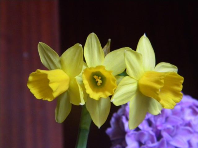 Name:  DSCN5734.jpg
Views: 943
Size:  24.8 KB