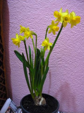 Name:  DSCN5801.jpg
Views: 790
Size:  31.0 KB