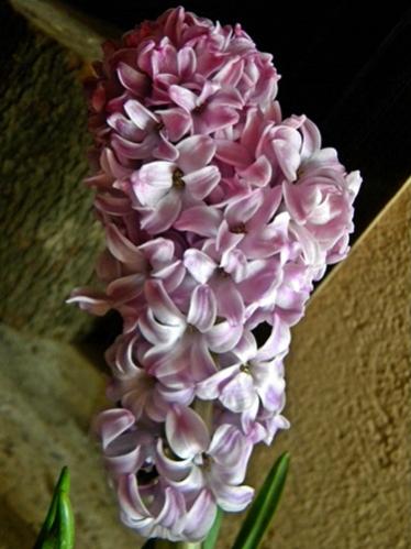 Name:  DSCN5936.jpg
Views: 651
Size:  31.1 KB