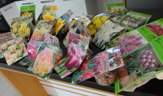 Name:  1-DSC00043.jpg
Views: 1012
Size:  48.2 KB