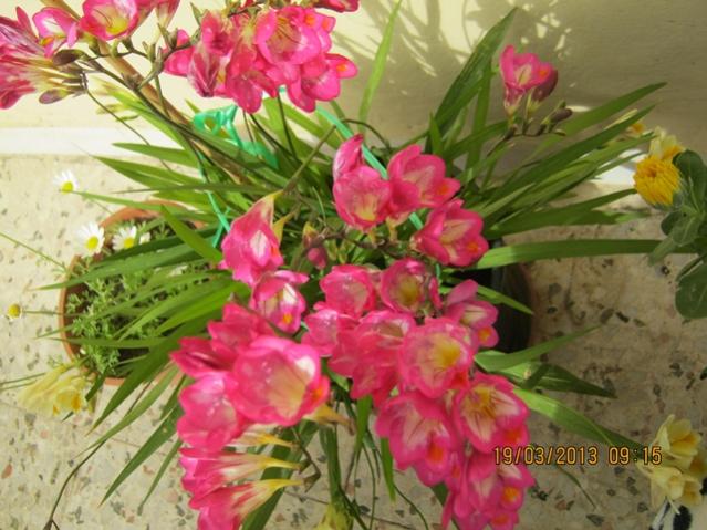 Name:  005.jpg
Views: 1280
Size:  56.1 KB
