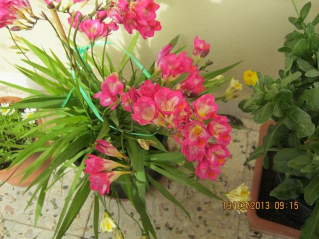 Name:  004.jpg
Views: 1238
Size:  52.3 KB