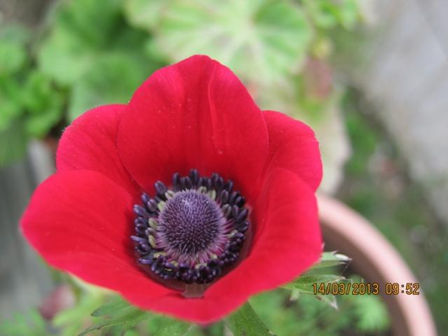 Name:  004.jpg
Views: 3290
Size:  28.3 KB