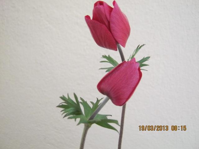 Name:  002.jpg
Views: 2907
Size:  24.0 KB