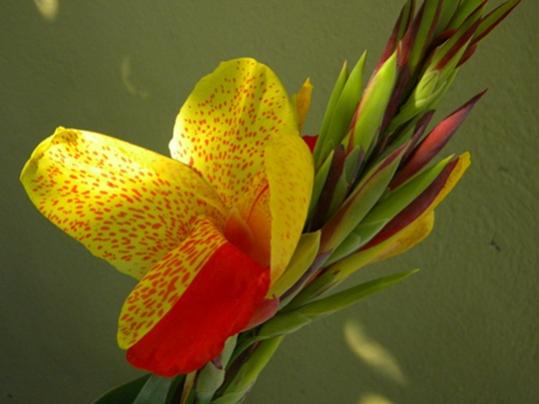 Name:  DSCN3844.jpg
Views: 2041
Size:  25.8 KB