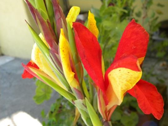 Name:  DSCN3845.jpg
Views: 2518
Size:  28.3 KB