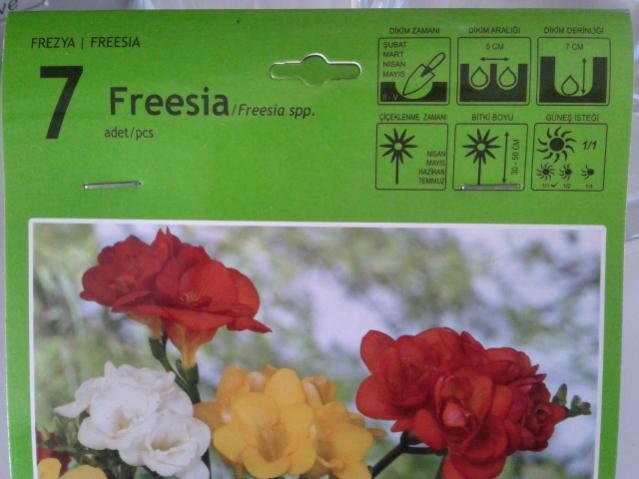 Name:  20130329_083739.jpg
Views: 1107
Size:  37.6 KB