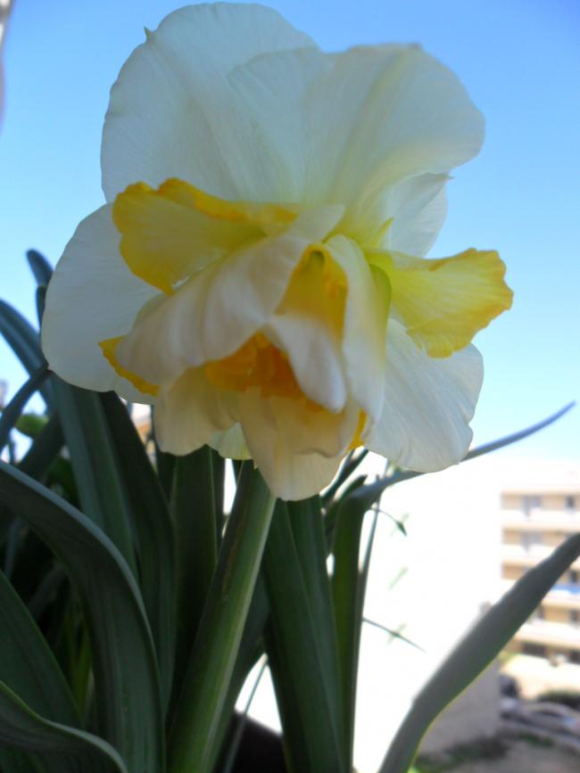 Name:  SAM_2686.jpg
Views: 748
Size:  39.7 KB
