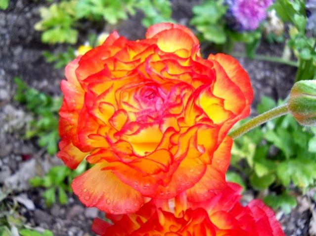 Name:  DSCN5069.jpg
Views: 1475
Size:  50.3 KB