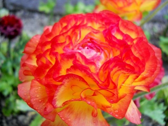 Name:  DSCN5070.jpg
Views: 1419
Size:  41.5 KB