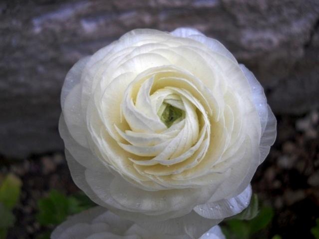Name:  DSCN5073.jpg
Views: 1389
Size:  28.2 KB