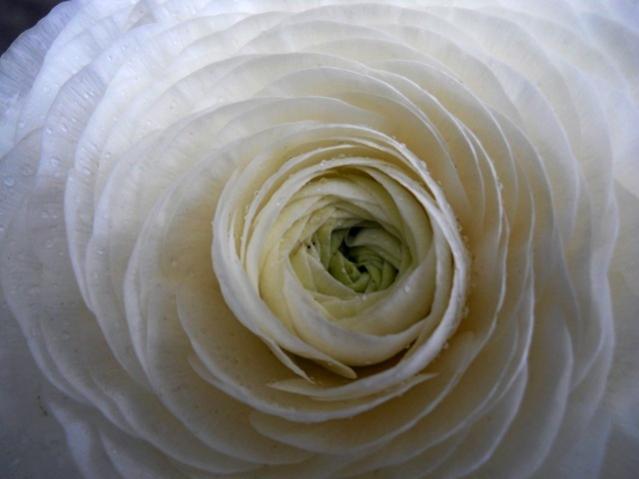 Name:  DSCN5074.jpg
Views: 1430
Size:  28.1 KB