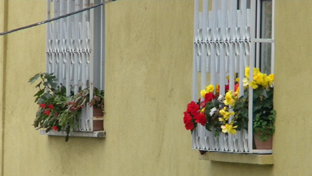Name:  DSCN4246.JPG
Views: 2358
Size:  69.3 KB