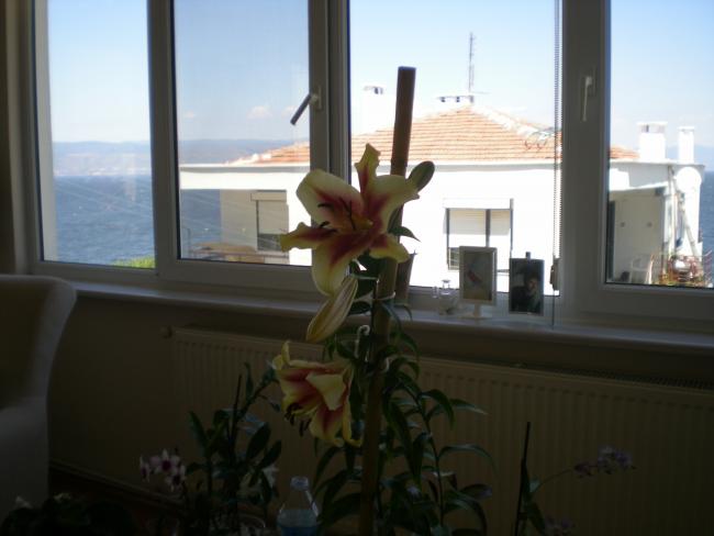 Name:  2013-06-20 14.10.33.jpg
Views: 1162
Size:  30.5 KB