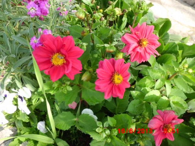 Name:  CIMG4350.jpg
Views: 1487
Size:  62.8 KB