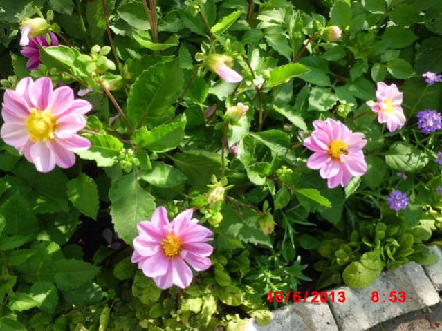 Name:  CIMG4359.jpg
Views: 1510
Size:  64.6 KB