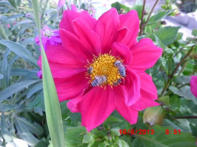 Name:  CIMG4349.jpg
Views: 1476
Size:  44.8 KB
