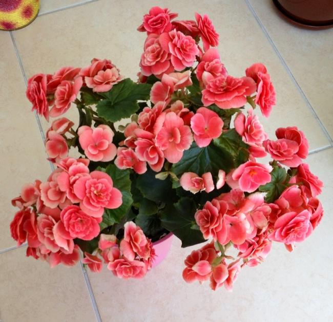 Name:  image.jpg
Views: 1451
Size:  64.0 KB