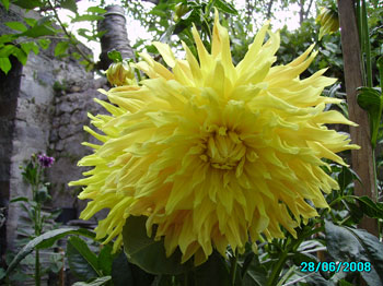 Name:  trtkl-sar.jpg
Views: 2361
Size:  36.9 KB