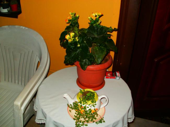 Name:  PB200027a.jpg
Views: 1831
Size:  35.2 KB