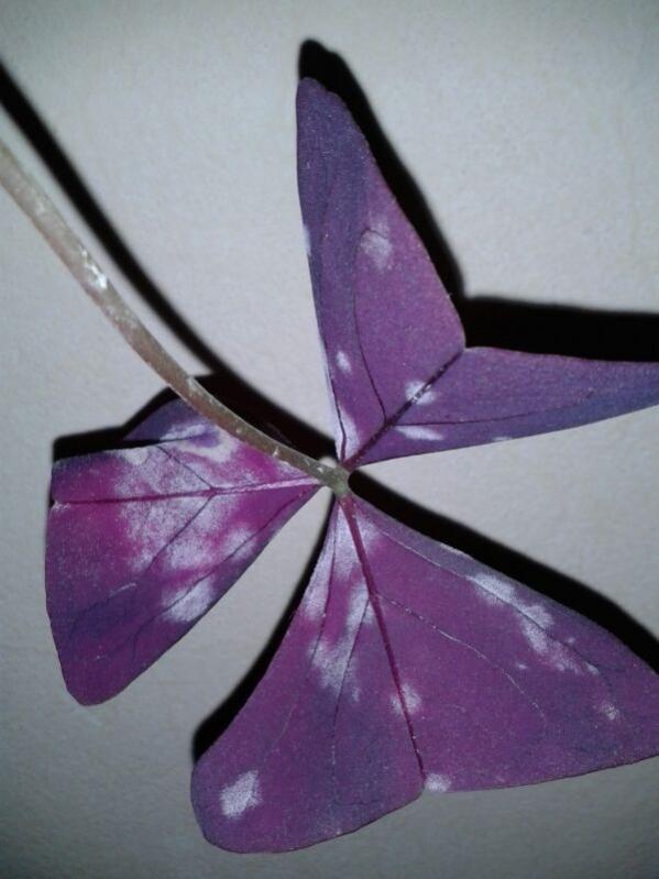 Name:  004.jpg
Views: 2177
Size:  47.9 KB