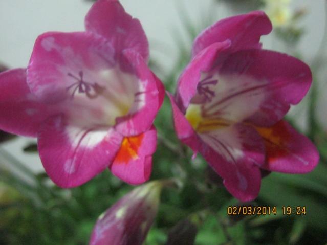 Name:  083.jpg
Views: 824
Size:  29.1 KB