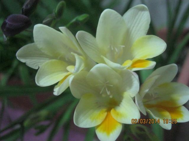 Name:  084.jpg
Views: 793
Size:  30.1 KB