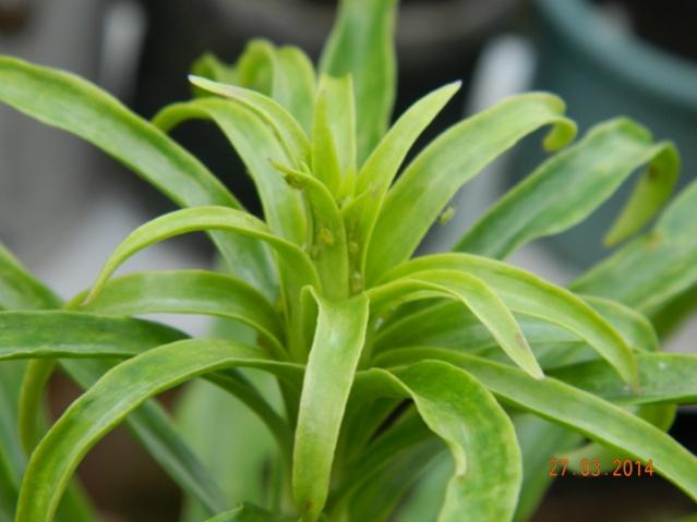 Name:  Resim 001.jpg
Views: 1556
Size:  33.1 KB